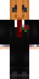 Skin preview for FightyFinn