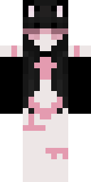 2D skin preview