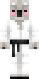 Skin preview for BigNinjaChicken