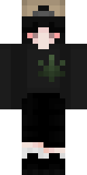 2D skin preview