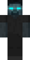 2D skin preview