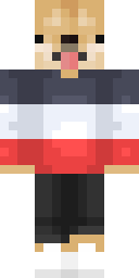 2D skin preview