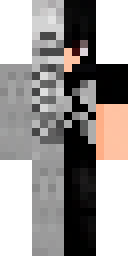 2D skin preview