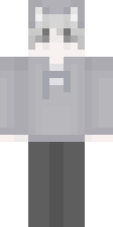 2D skin preview