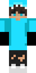 2D skin preview