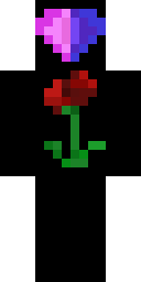 2D skin preview