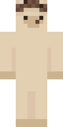 2D skin preview