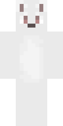 2D skin preview