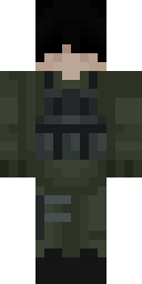 2D skin preview
