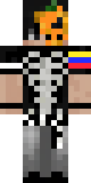 2D skin preview