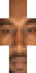 2D skin preview