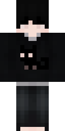 2D skin preview