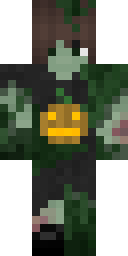 2D skin preview