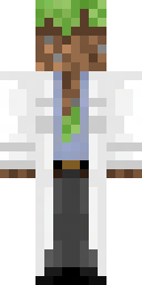 2D skin preview