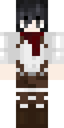 2D skin preview