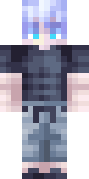 2D skin preview