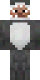 2D skin preview