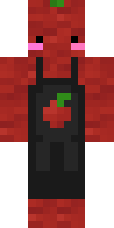 2D skin preview