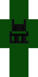 2D skin preview