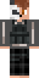 Skin preview for StannoFr