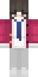 2D skin preview