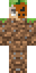 2D skin preview