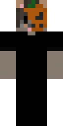 Skin preview for gxTheBaldBird