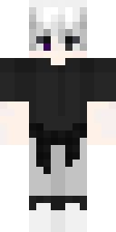 2D skin preview