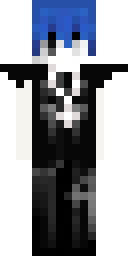 2D skin preview