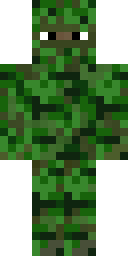 2D skin preview