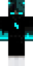 2D skin preview