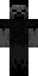 2D skin preview