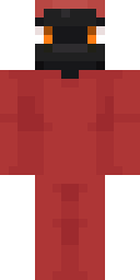2D skin preview