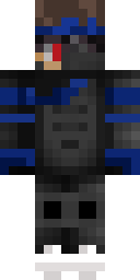 2D skin preview