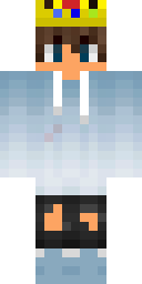 2D skin preview