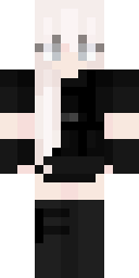 2D skin preview
