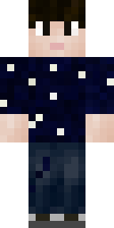 Skin preview for rccp