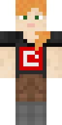 2D skin preview