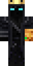 Skin preview for PLord