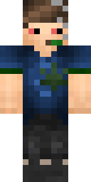 2D skin preview