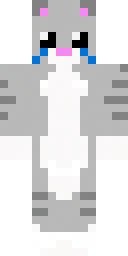 2D skin preview