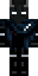 2D skin preview