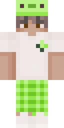 2D skin preview