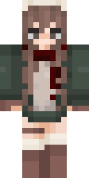 2D skin preview