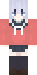 2D skin preview
