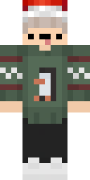 2D skin preview