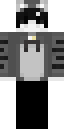 2D skin preview