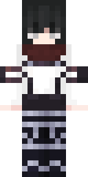 2D skin preview