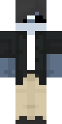 2D skin preview