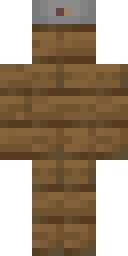 2D skin preview